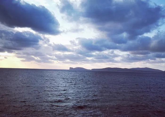 Shardana Couette-café